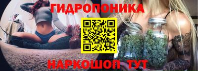 ALPHA PVP Славгород