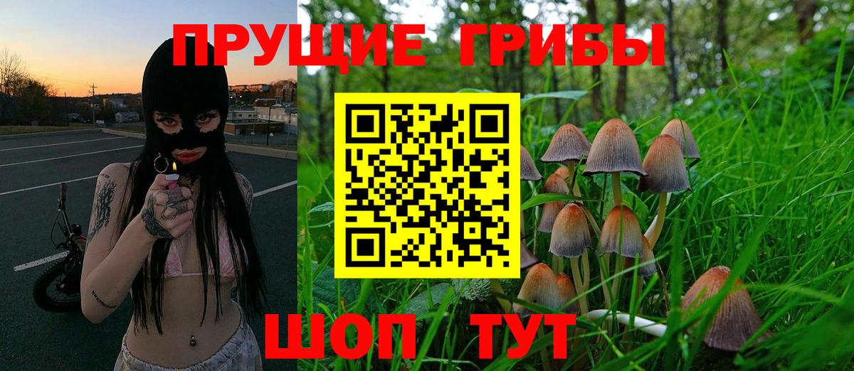 Галлюциногенные грибы Psilocybe  Вход с VPN  Протвино 