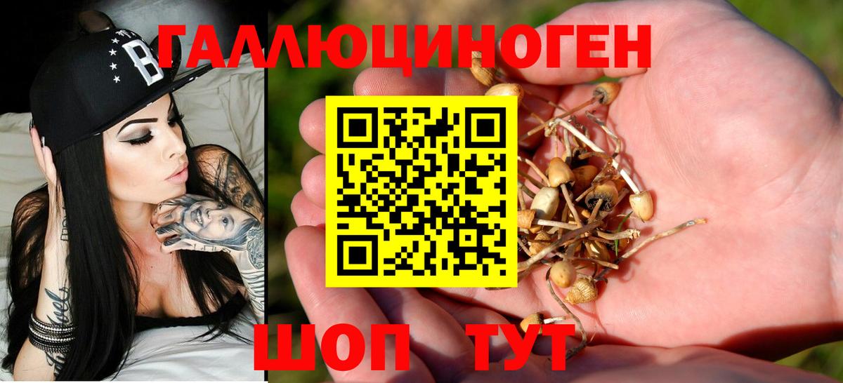 Галлюциногенные грибы GOLDEN TEACHER Протвино